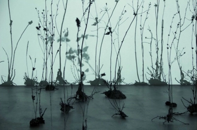 Ursula Palla representative work