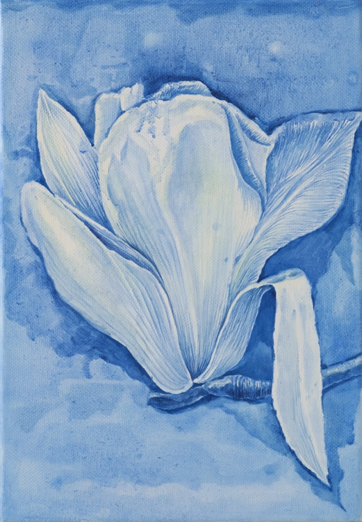 Kobus magnolia_Eunju Kim