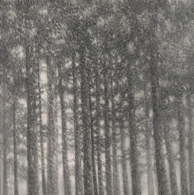 Falling Snow, Flowing Snow_Soyoung Kwon