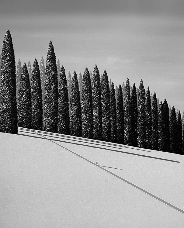 A Forest that Asks Nothing_Jungkee Son