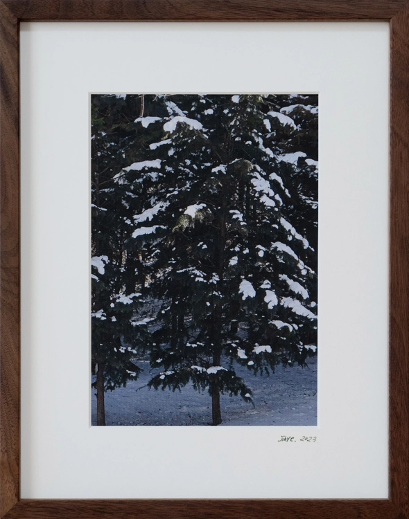 The Beginning of Winter_Jihye 