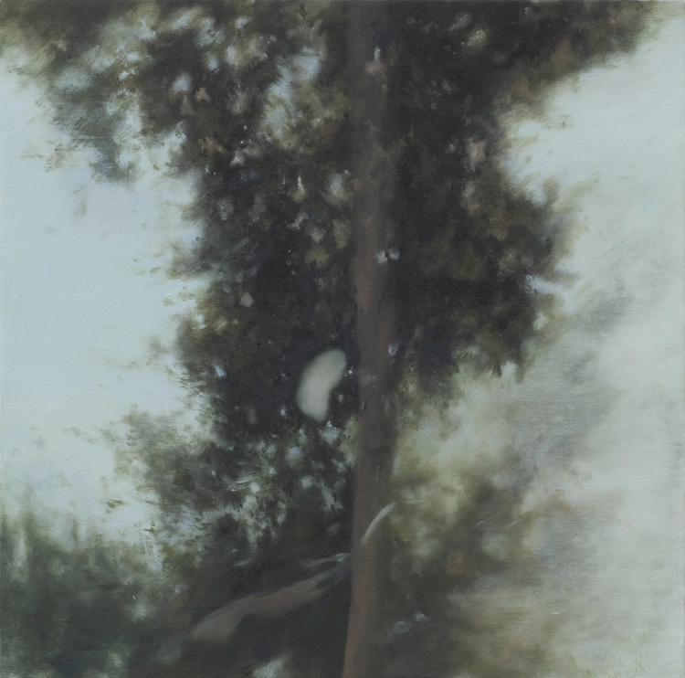 The Tree by the Window_Jiyoon Kim