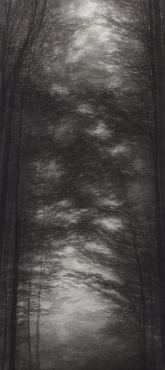 Fading Light_Soyoung Kwon
