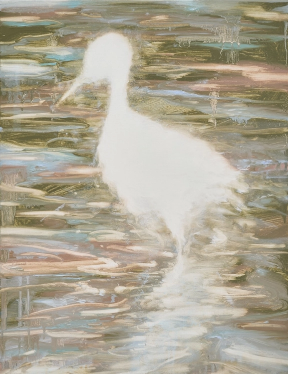 Bird_Junmin Shin