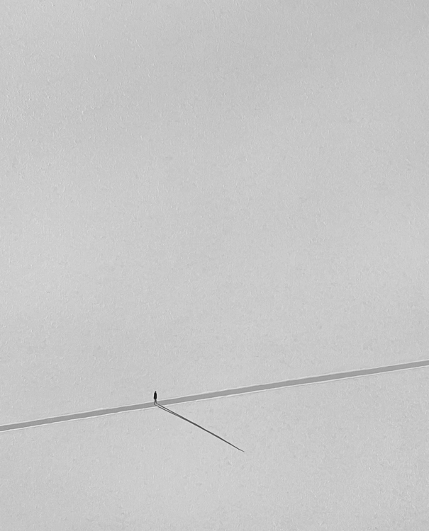 The Way of Silence_Jungkee Son