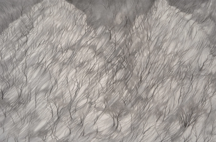 Shadows Crossing the Snow_SOYOUNG KWON