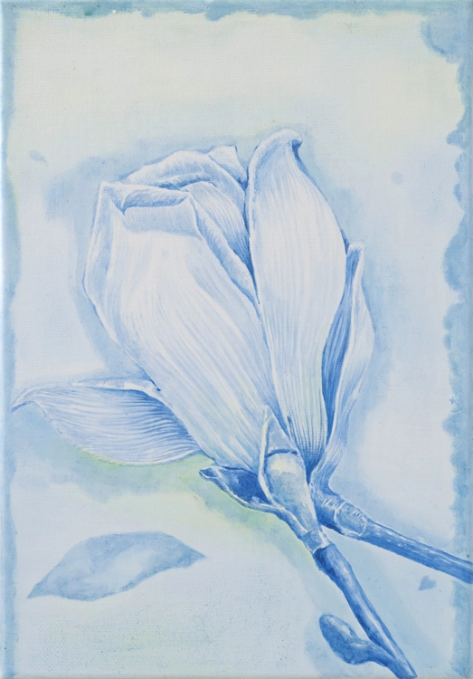 Kobus magnolia_Eunju Kim