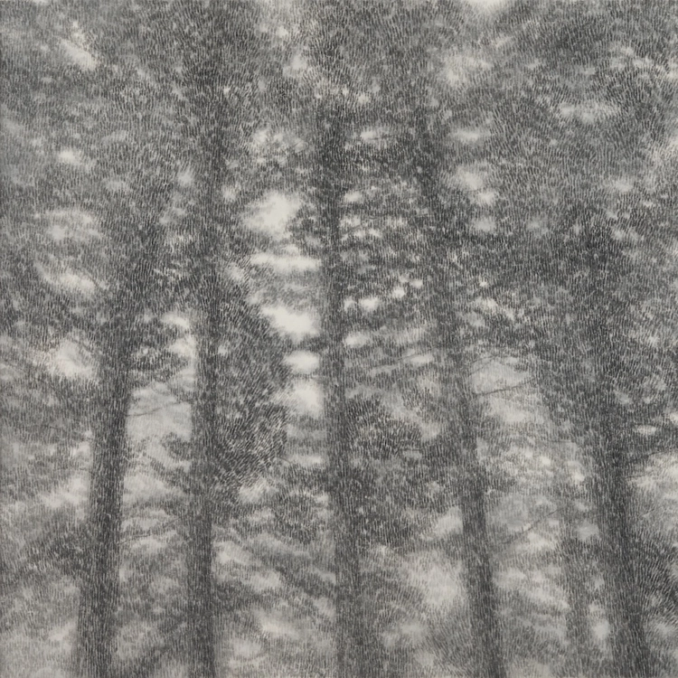 Falling Snow, Flowing Snow_Soyoung Kwon