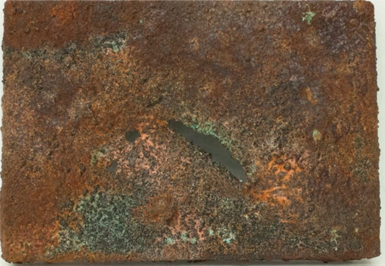Appearance II.20191036 (Canvas Fossil Excavated 2000 Years Later)_Toshiyuki Shibakawa