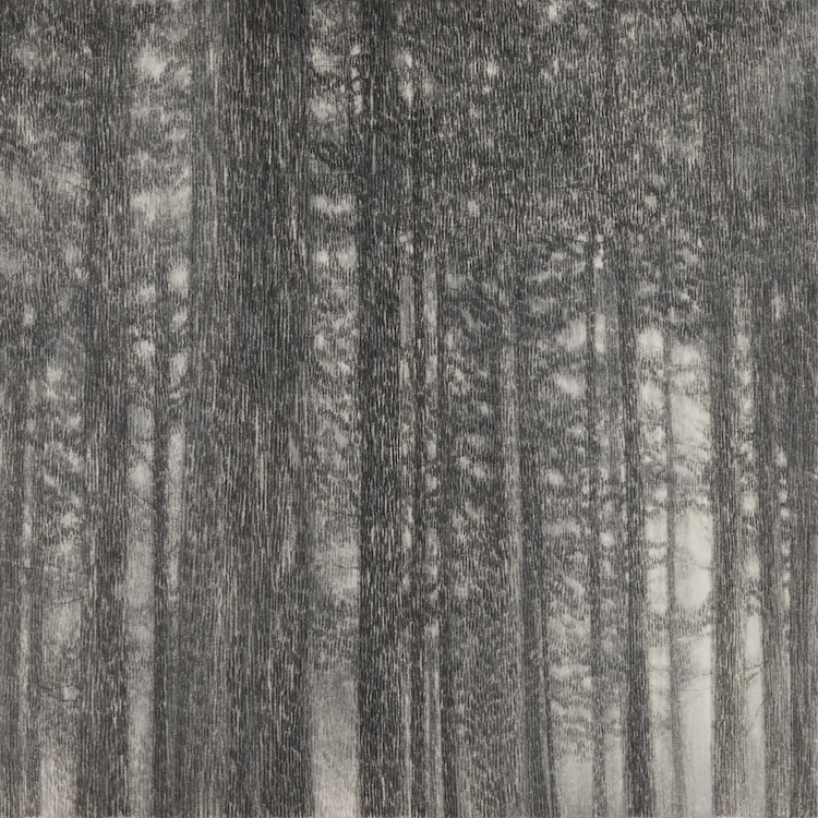 Falling Snow, Flowing Snow_Soyoung Kwon