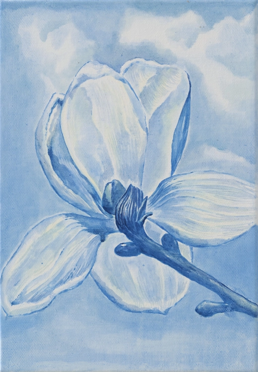 Kobus magnolia_Eunju Kim