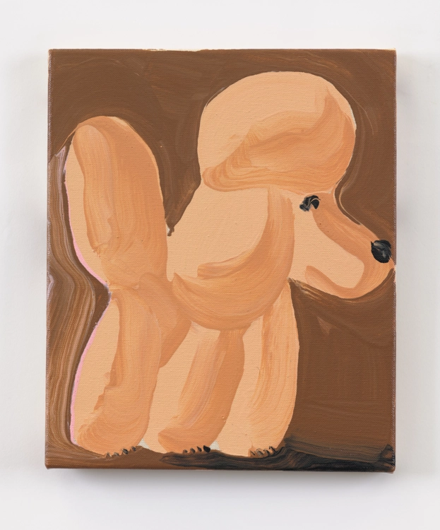 Patient Poodle_David Surman