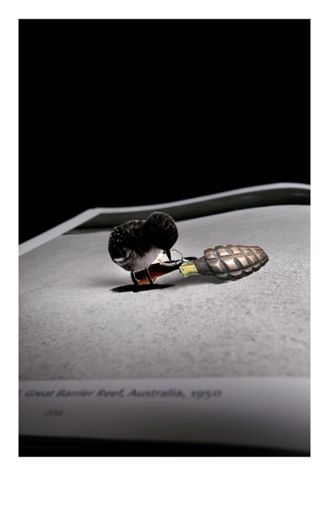 A GRENADE-THROWER, 2010_Chulho Park