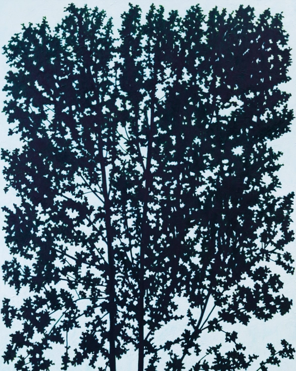 Tree_GEONYUL JANG